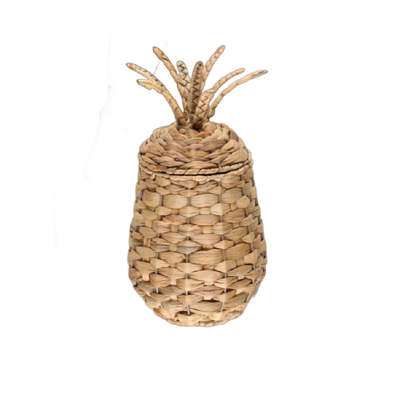 Korv kaanega Pineapple